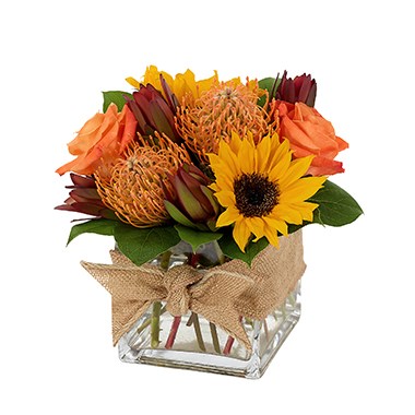 Nature's Bounty - Fall